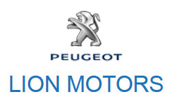 firstlevel_dla_lionmotors