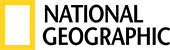 audyt_seo_national
