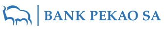 google_ads_dla_pekaoOFE